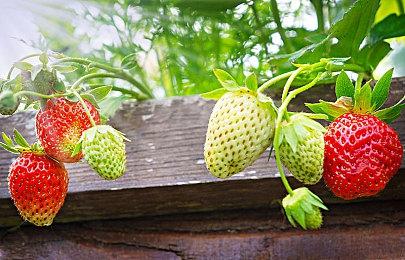 KK周年庆盛典福利升级，双旦特辑惊喜上线